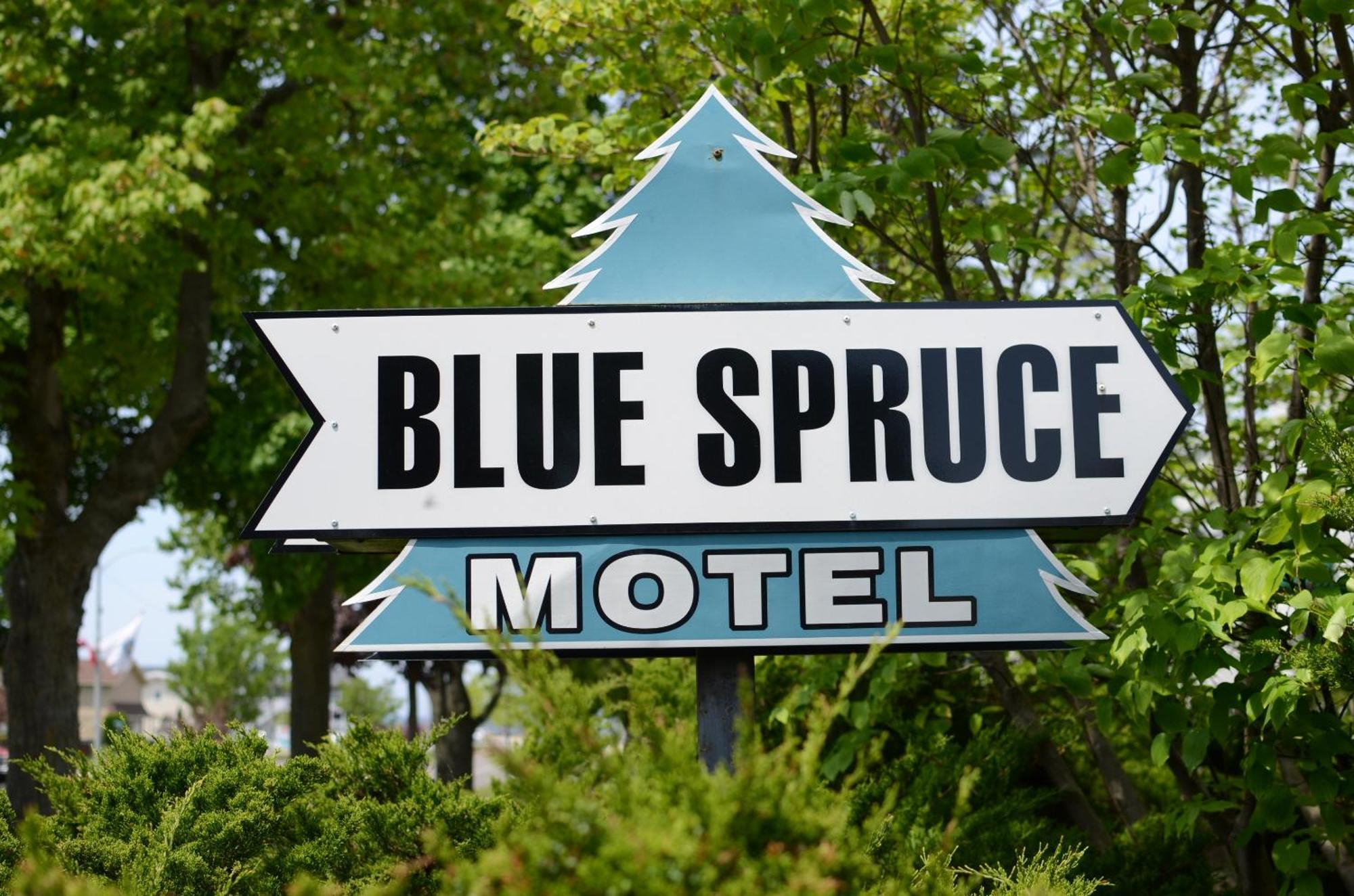 Ludington Blue Spruce Inn 外观 照片