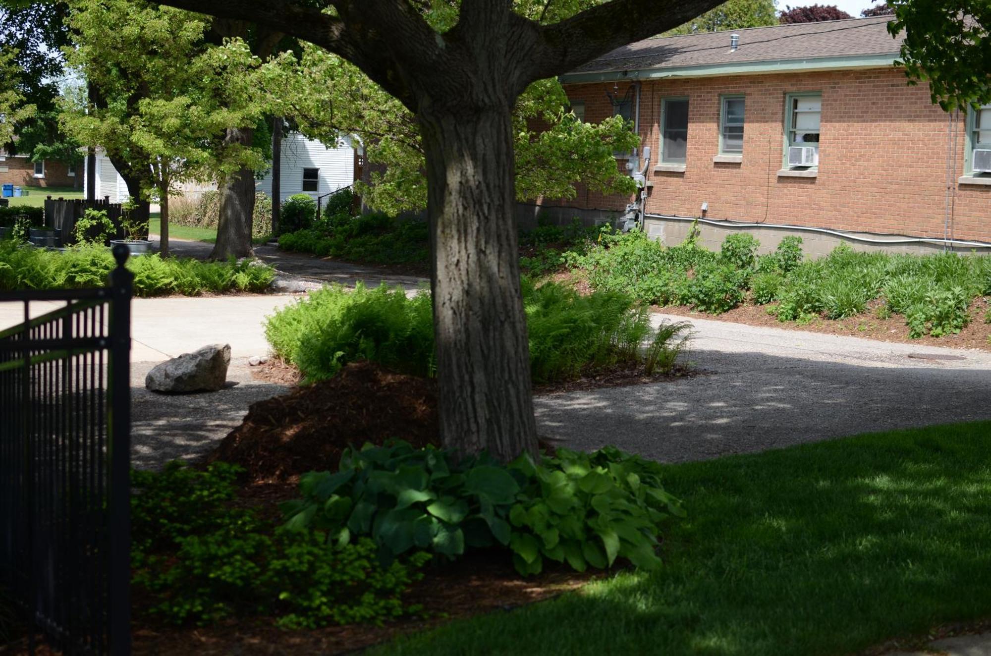 Ludington Blue Spruce Inn 外观 照片